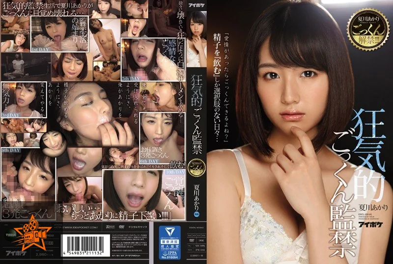 IPX-040